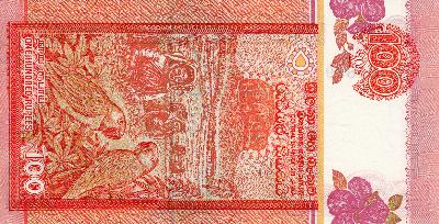 Beschrijving achterzijde: PARROTS